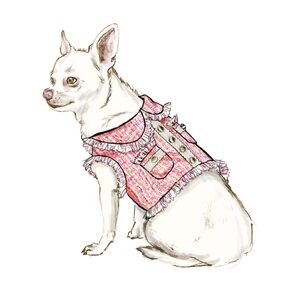 Simplicity Sewing Pattern S9970a Dog Coats size xxs-m