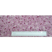 Paisley Jacobean PURPLES 8452.01, Cotton Fabric 110cm wide per 50cm