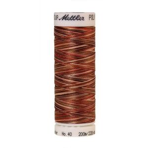 Poly Sheen Multi 40, #9302 AUTUMN SPICE Trilobal Polyester Thread 200m