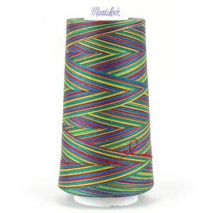 Signature Maxi-Lock Swirls 50wt #M67 Rainbow Swirl Overlocker/Serger Thread 3000yd