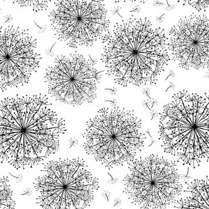 Night &amp; Day Dandelion Black on White, 112cm Wide Quilting Fabric