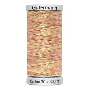 Gutermann Cotton 30 #4049 VARIEGATED 300m Embroidery &amp; Quilting Thread