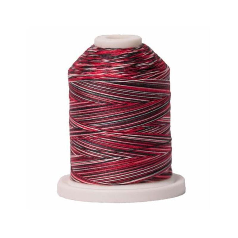 Signature Variegated 40 SM002 Holiday Cotton Machine Quilting Thread 700yd