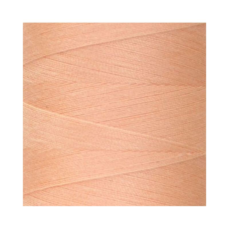 Rasant 120 Thread #1111 LIGHT APRICOT PINK 5000m Sewing & Quilting Thread